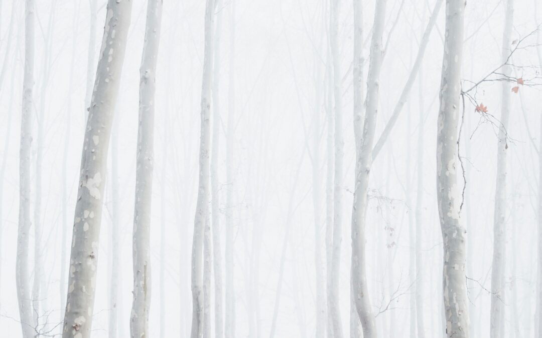 Awakening at the Crossroads: Why midlife might be your greatest adventure yet